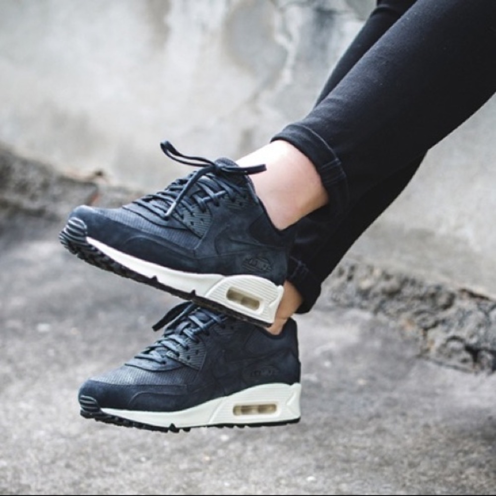 Brand New Nike Air Max 90 Pinnacle
